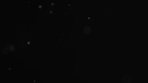 Natural Dust Particles Float On Black Background. Dust In Motion. Stock-Footage 103287655