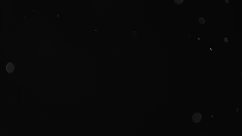 Natural Dust Particles Float On Black Background. Dust In Motion. Stock-Footage 103287758