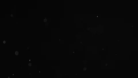 Natural Dust Particles Float On Black Background. Dust In Motion. Stock-Footage 103287811