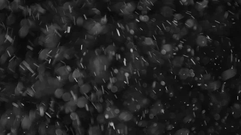 Natural Dust Particles Float On Black Background. Dust In Motion. Stock Footage 103318812