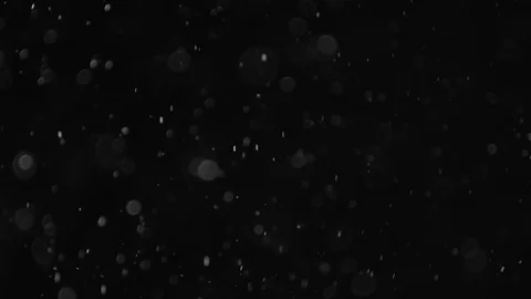 Natural Dust Particles Float On Black Background. Dust In Motion. Stock Footage 103320663