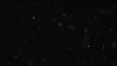 Natural Dust Particles Float On Black Background. Dust In Motion. Stock Footage 103320820