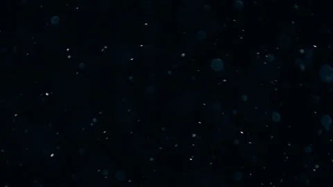 Natural Dust Particles Float On Black Background. Dust In Motion. Stock-Footage 103327811