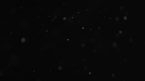 Natural Dust Particles Float On Black Background. Dust In Motion. 스톡 동영상 103328014