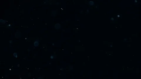 Natural Dust Particles Float On Black Background. Dust In Motion. Stock-Footage 103328148