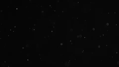 Natural Dust Particles Float On Black Background. Dust In Motion. Stock Footage 103328927