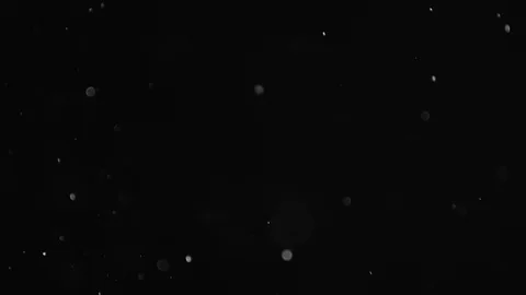Natural Dust Particles Float On Black Background. Dust In Motion. Stock Footage 103329050