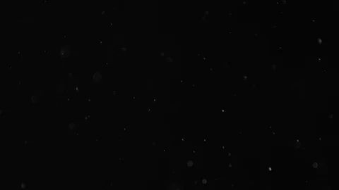 Natural Dust Particles Float On Black Background. Dust In Motion. Stock Footage 103329105