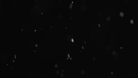 Natural Dust Particles Float On Black Background. Dust In Motion. Stock Footage 103341751