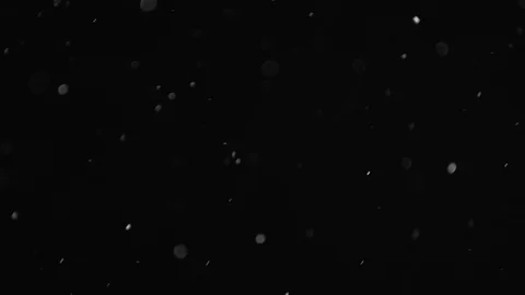 Natural Dust Particles Float On Black Background. Dust In Motion. 스톡 동영상 103341864