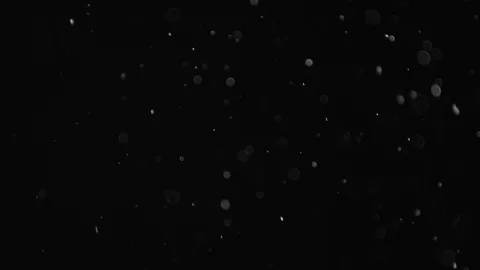 Natural Dust Particles Float On Black Background. Dust In Motion. Stock Footage 103341909
