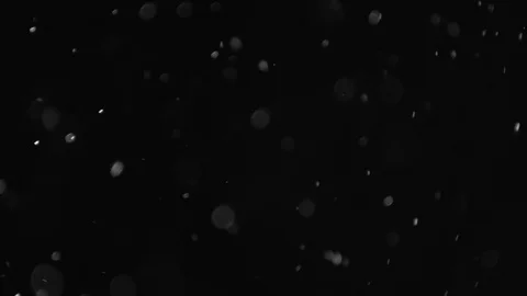 Natural Dust Particles Float On Black Background. Dust In Motion. Stock Footage 104035807