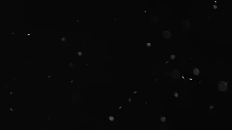 Natural Dust Particles Float On Black Background. Dust In Motion. Stock Footage 104035833