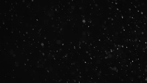 Natural Dust Particles Float On Black Background. Dust In Motion. Stock Footage 104040361