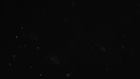 Natural Dust Particles Float On Black Background. Dust In Motion. Stock Footage 104042680