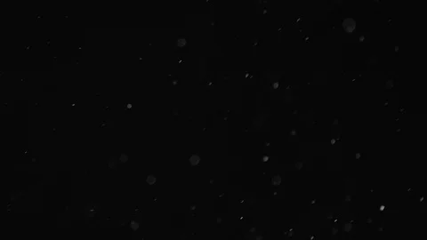 Natural Dust Particles Float On Black Background. Dust In Motion. Stock Footage 104042687