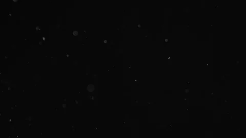 Natural Dust Particles Float On Black Background. Dust In Motion. Stock Footage 104042750