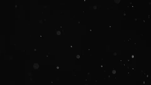 Natural Dust Particles Float On Black Background. Dust In Motion. Stock Footage 104042841