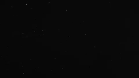 Natural Dust Particles Float On Black Background. Dust In Motion. 스톡 동영상 104055339