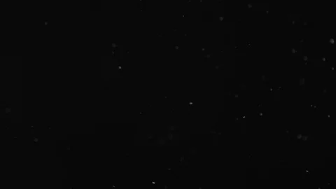 Natural Dust Particles Float On Black Background. Dust In Motion. Stock Footage 104055596