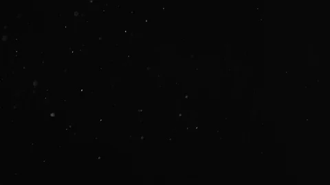 Natural Dust Particles Float On Black Background. Dust In Motion. Stock Footage 104059244