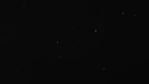 Natural Dust Particles Float On Black Background. Dust In Motion. Stock Footage 104059448