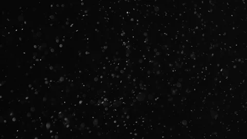 Natural Dust Particles Float On Black Background. Dust In Motion. Stock Footage 104064286