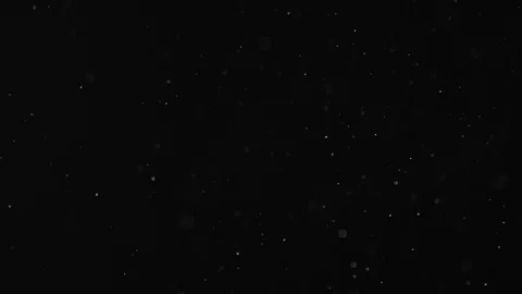 Natural Dust Particles Float On Black Background. Dust In Motion. Stock Footage 104064848