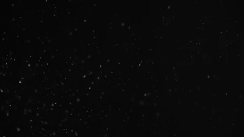 Natural Dust Particles Float On Black Background. Dust In Motion. 스톡 동영상 104065598
