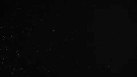 Natural Dust Particles Float On Black Background. Dust In Motion. Stock Footage 104066181