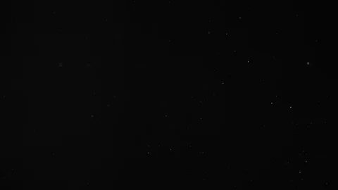 Natural Dust Particles Float On Black Background. Dust In Motion. Stock-Footage 104080245