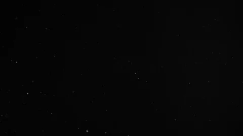 Natural Dust Particles Float On Black Background. Dust In Motion. Stock-Footage 104080805