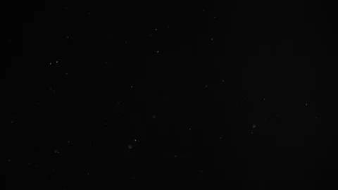 Natural Dust Particles Float On Black Background. Dust In Motion. Stock Footage 104081256