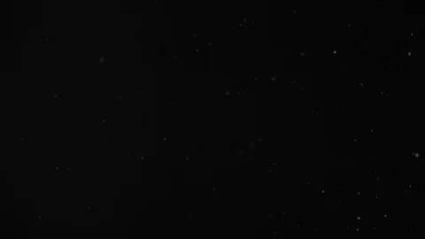 Natural Dust Particles Float On Black Background. Dust In Motion. Stock Footage 104081269
