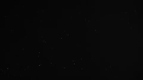 Natural Dust Particles Float On Black Background. Dust In Motion. Stock Footage 104081374