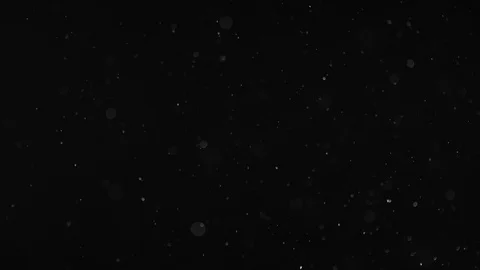 Natural Dust Particles Float On Black Background. Dust In Motion. Stock-Footage 104131023