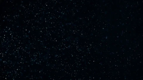 Natural Dust Particles Float On Black Background. Dust In Motion. Stock-Footage 104133024