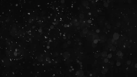 Natural Dust Particles Float On Black Background. Dust In Motion. Stock Footage 104133128