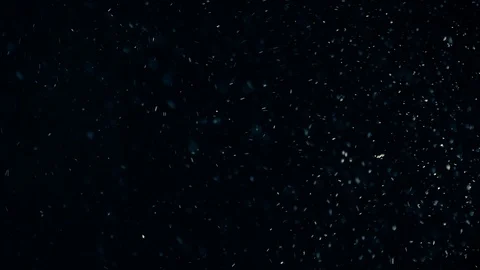 Natural Dust Particles Float On Black Background. Dust In Motion. Stock-Footage 104133917
