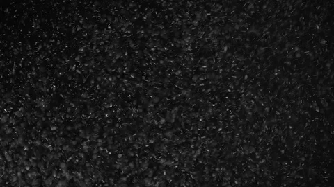 Natural Dust Particles Float On Black Background. Dust In Motion. Stock Footage 104133968