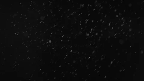 Natural Dust Particles Float On Black Background. Dust In Motion. Stock Footage 104141144