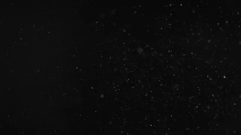 Natural Dust Particles Float On Black Background. Dust In Motion. Stock Footage 104141933