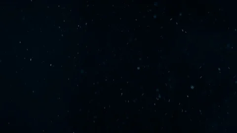 Natural Dust Particles Float On Black Background. Dust In Motion. Stock-Footage 104143690