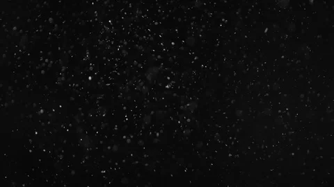 Natural Dust Particles Float On Black Background. Dust In Motion. Stock Footage 104144351