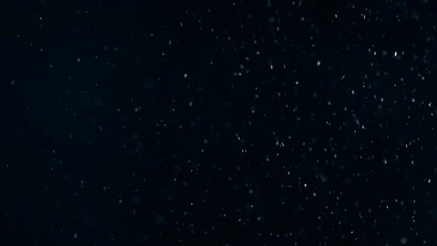 Natural Dust Particles Float On Black Background. Dust In Motion. Stock-Footage 104144497