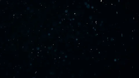 Natural Dust Particles Float On Black Background. Dust In Motion. Stock-Footage 104206998