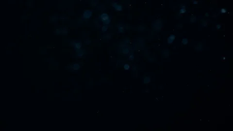 Natural Dust Particles Float On Black Background. Dust In Motion. Stock-Footage 104207555