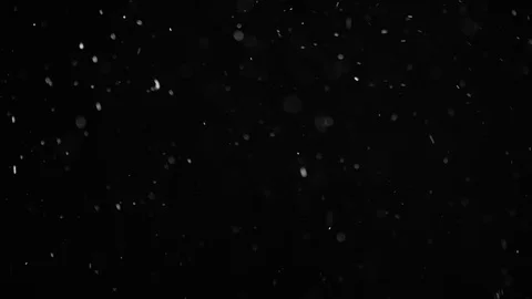 Natural Dust Particles Float On Black Background. Dust In Motion. Stock Footage 104208014