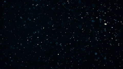 Natural Dust Particles Float On Black Background. Dust In Motion. Stock-Footage 104208456
