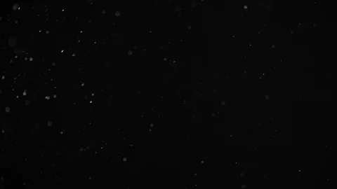 Natural Dust Particles Float On Black Background. Dust In Motion. Stock Footage 104209158
